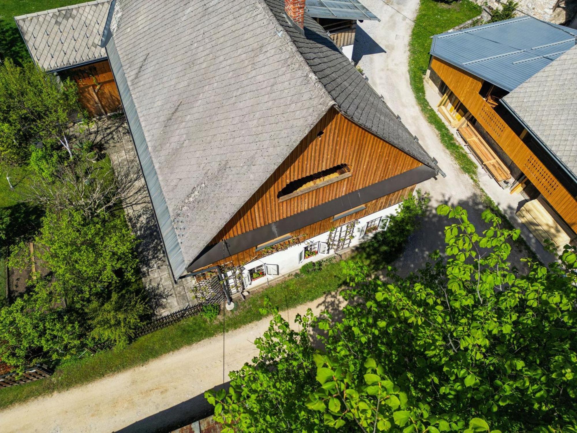 House, Garden And A Green Cat Блед Экстерьер фото