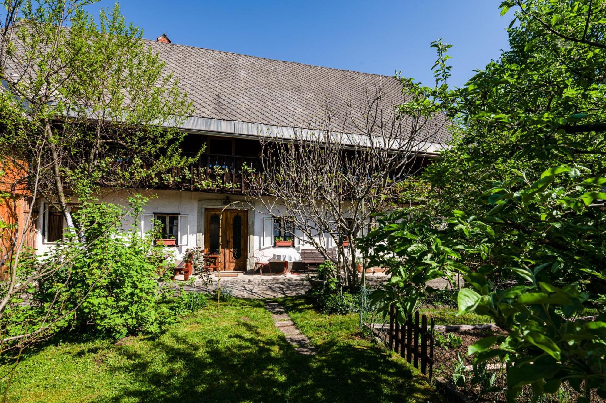 House, Garden And A Green Cat Блед Экстерьер фото