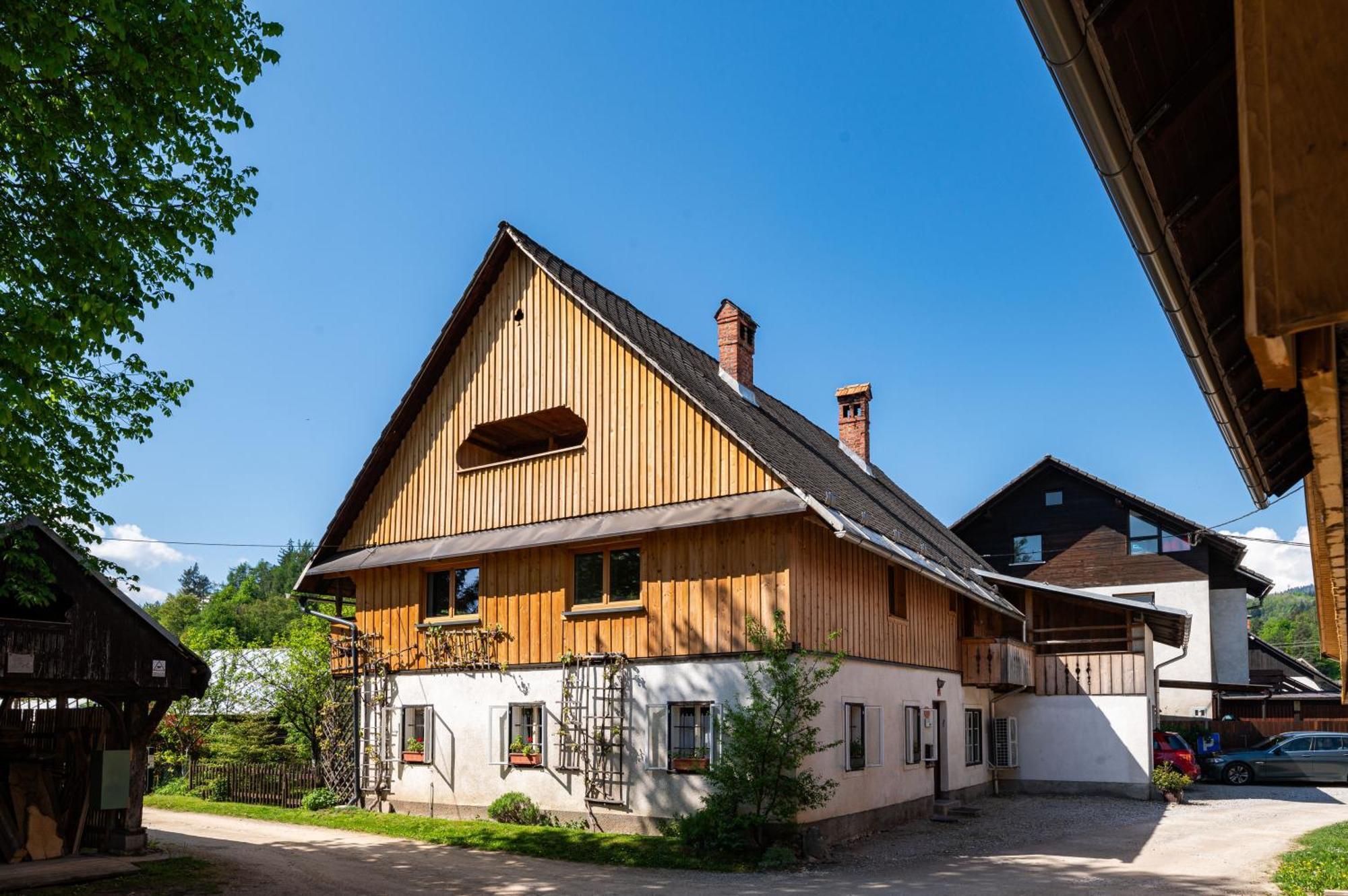 House, Garden And A Green Cat Блед Экстерьер фото