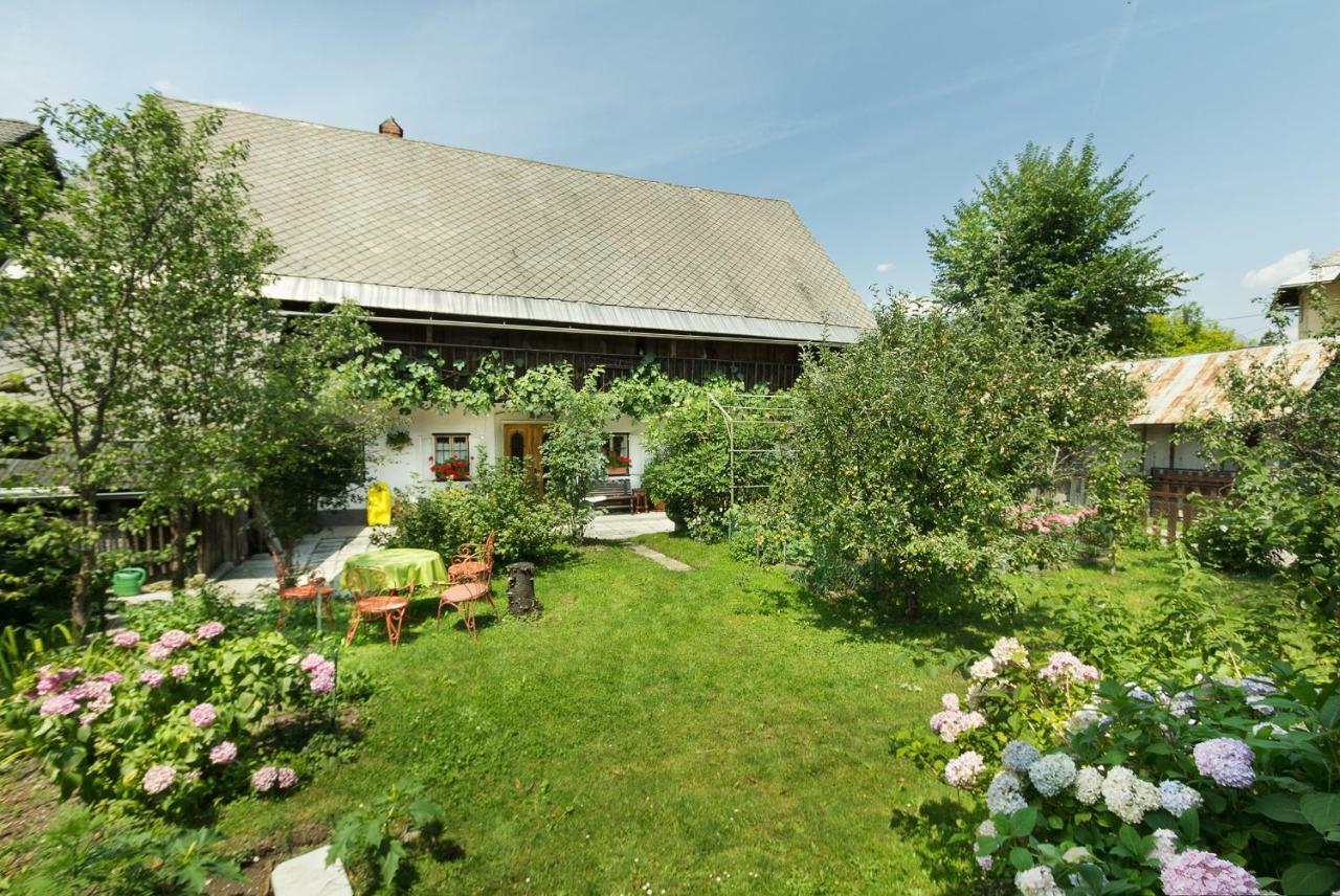 House, Garden And A Green Cat Блед Экстерьер фото